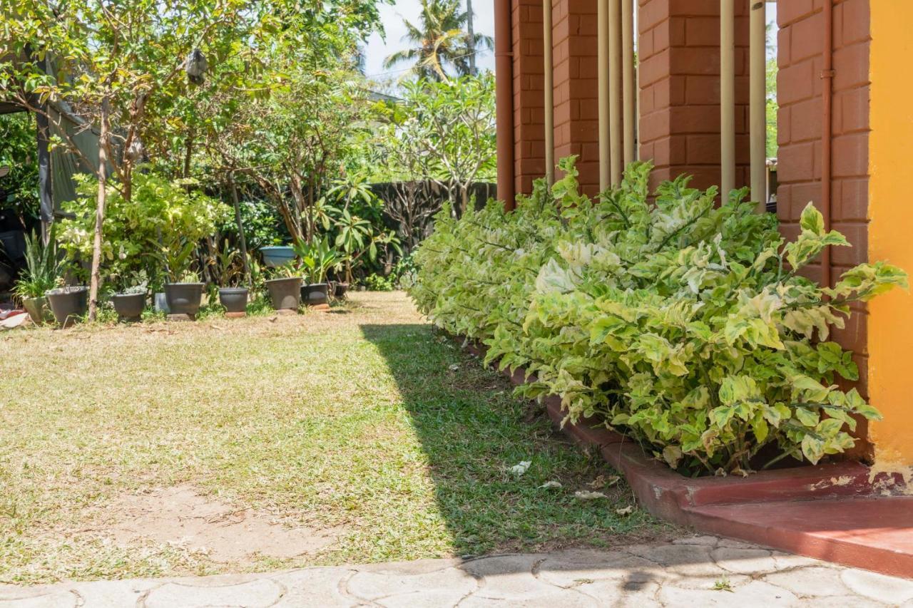 The Catipe Lodge Hikkaduwa Exterior foto