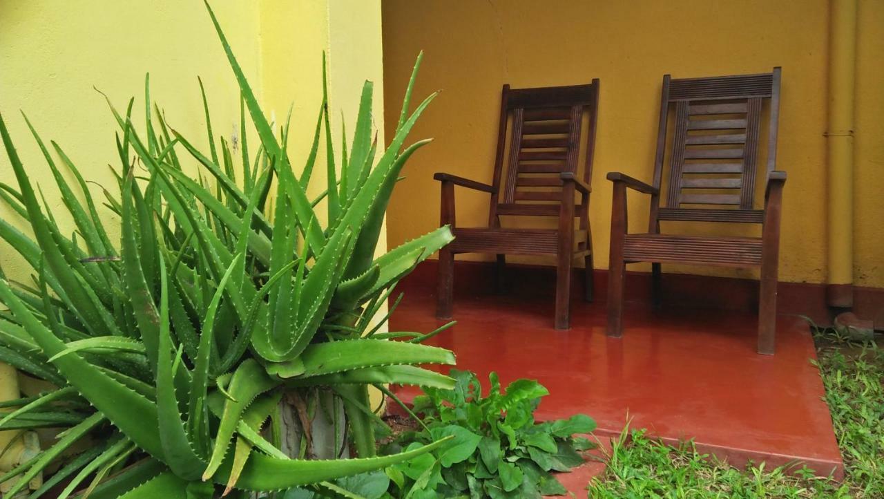 The Catipe Lodge Hikkaduwa Exterior foto